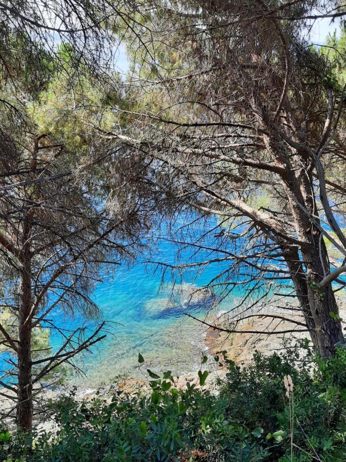 Appartamento I Soffioni La Spezia Exteriör bild